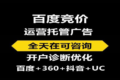 百度广告投放策略与效果评估案例